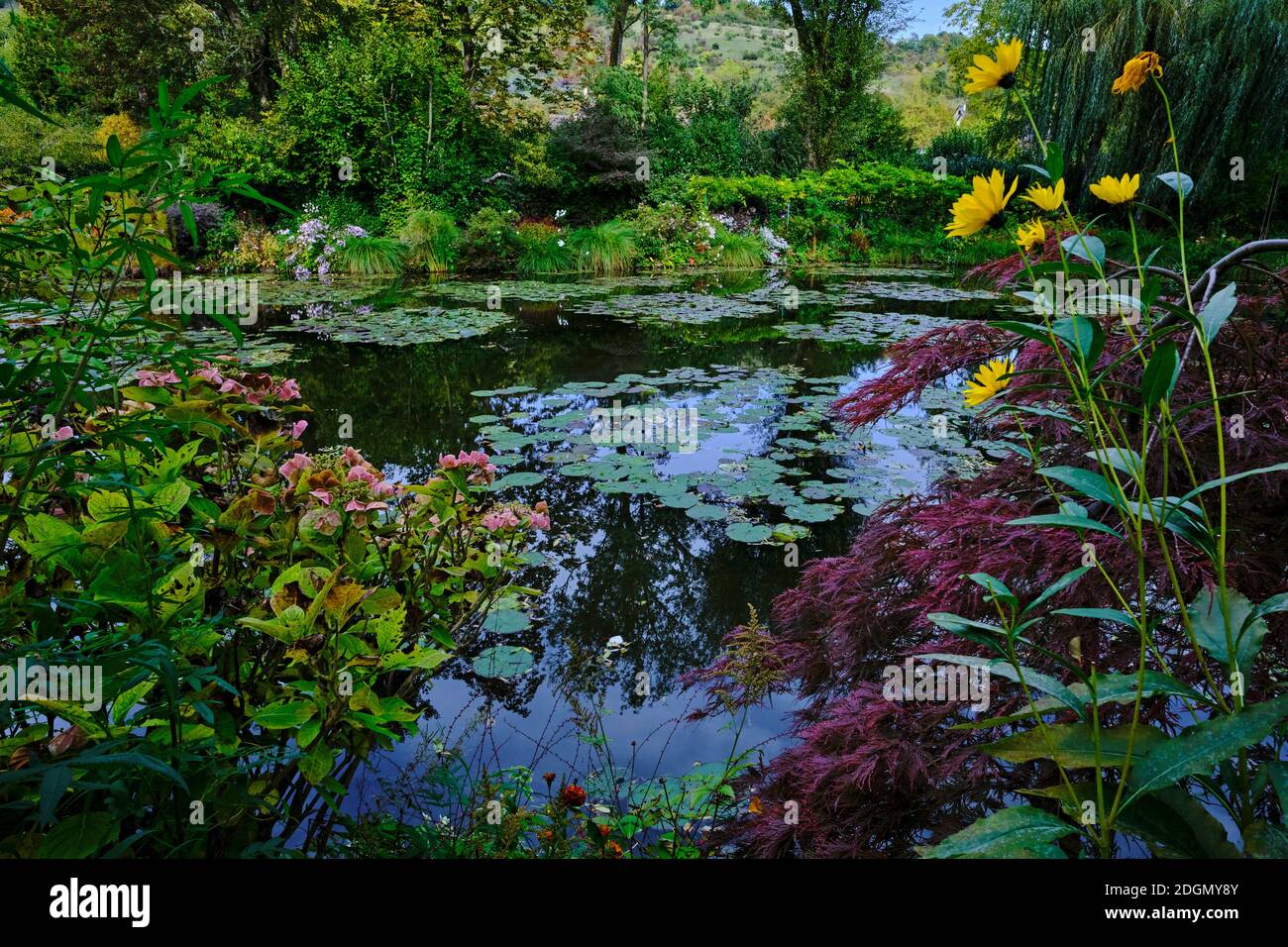 Frankreich, Eure (27), Giverny, Claude Monet Stiftung, der japanische Garten Stockfoto