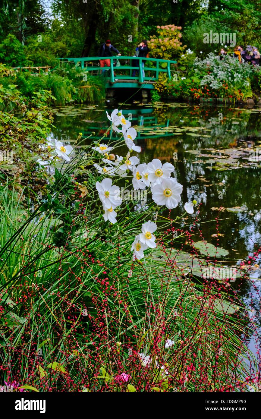 Frankreich, Eure (27), Giverny, Claude Monet Stiftung, der japanische Garten Stockfoto