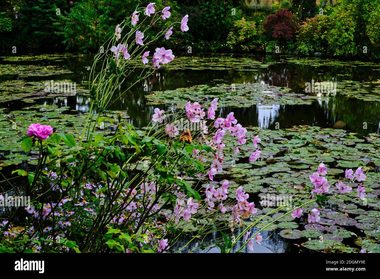 Frankreich, Eure (27), Giverny, Claude Monet Stiftung, der japanische Garten Stockfoto