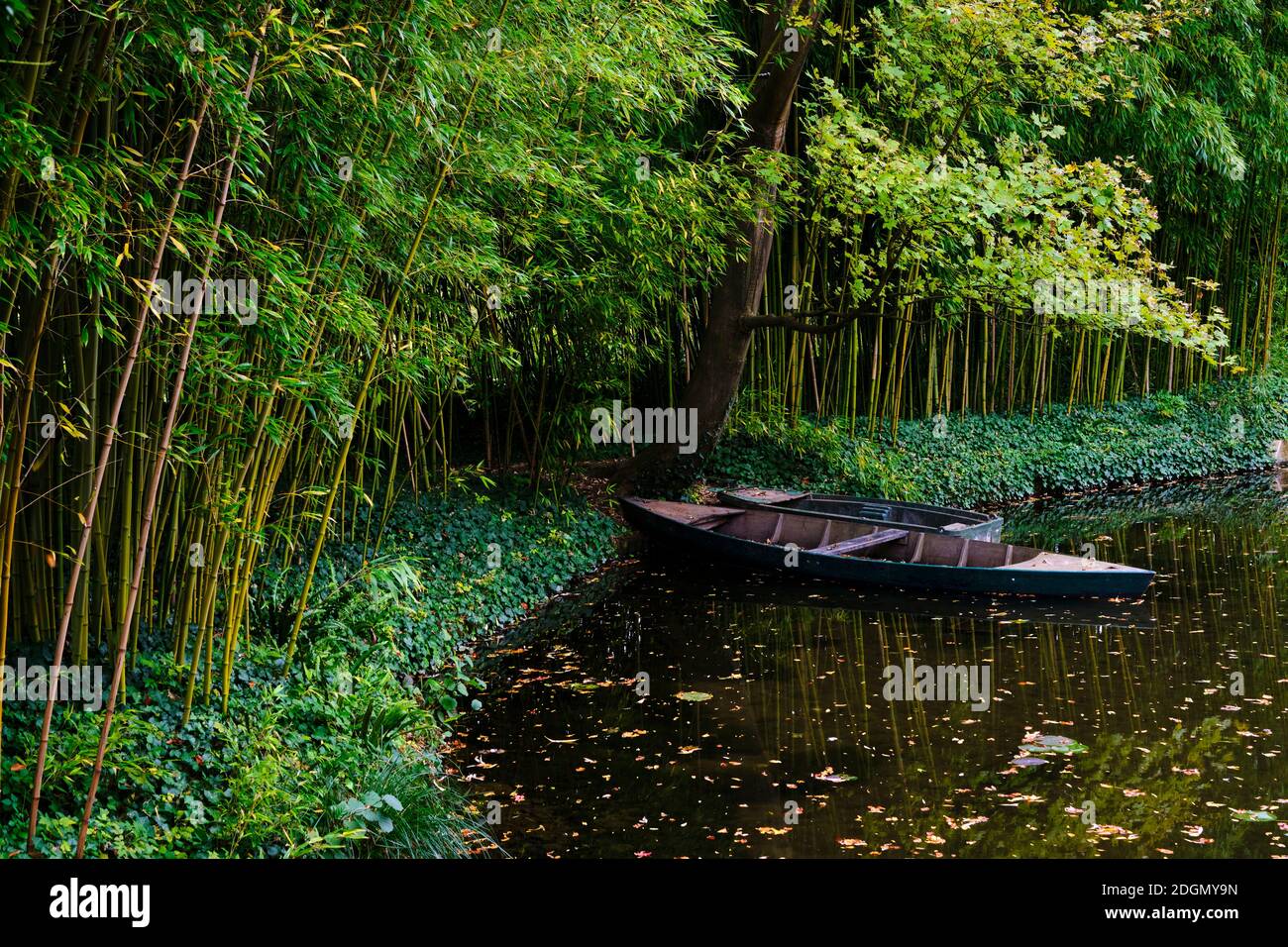 Frankreich, Eure (27), Giverny, Claude Monet Stiftung, der japanische Garten Stockfoto