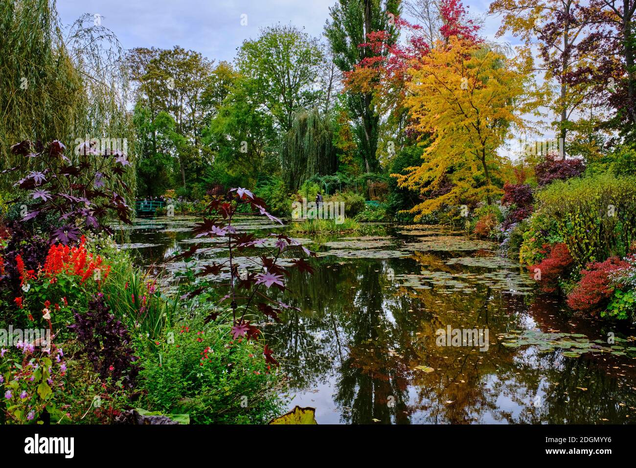 Frankreich, Eure (27), Giverny, Claude Monet Stiftung, der japanische Garten Stockfoto