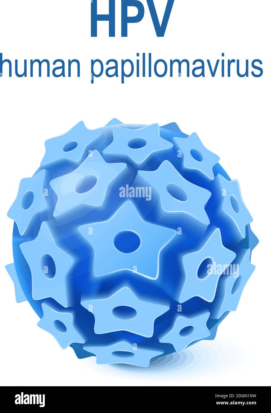 hpv - menschliche Papillomavirus-Infektion. HPV ist ein Virus, das Warzen und Gebärmutterhalskrebs verursacht Stock Vektor