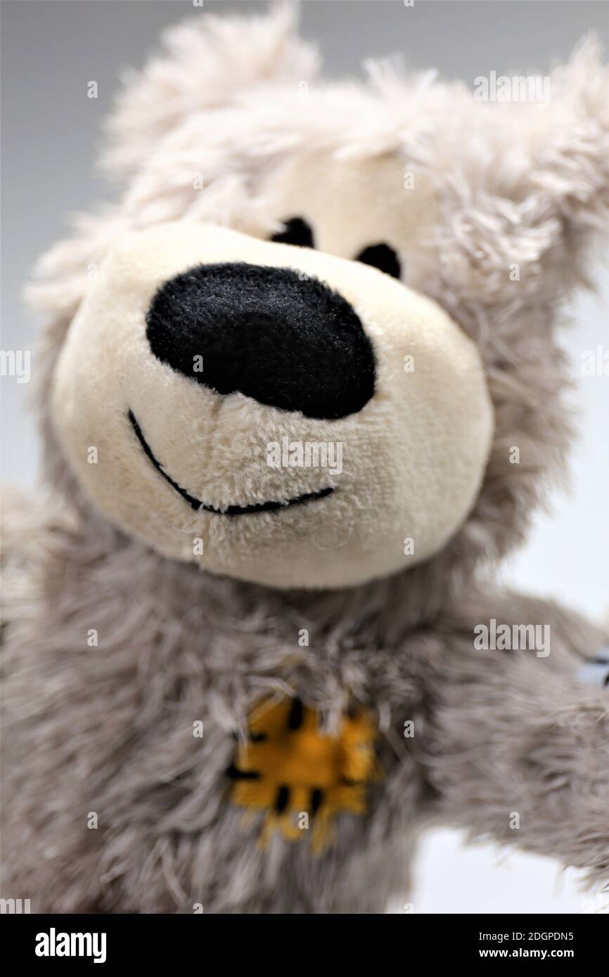 Stofftier Bär Stockfoto