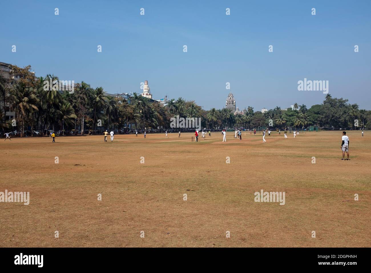 Cricket spielen auf dem Oval Maidan Park in Süd-Mumbai, Indien Stockfoto