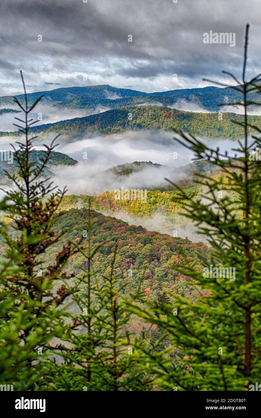 Herbst in den Appalachischen Bergen entlang des Blue Ridge Parkwa Stockfoto