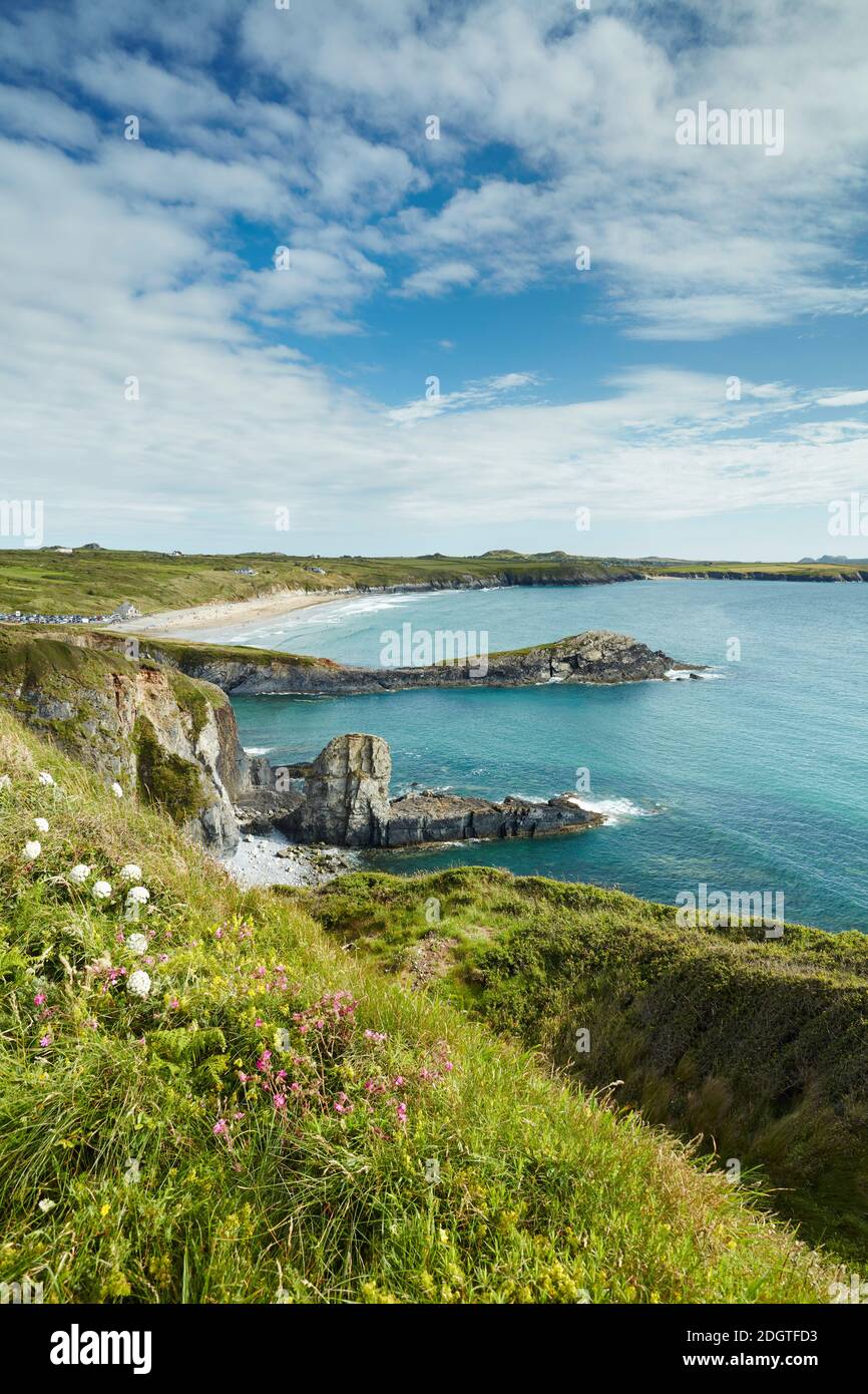 Blick über Whitesands Bay, Pen Dal-aderyn, Pembrokeshire Coast National Park, Wales, Großbritannien Stockfoto