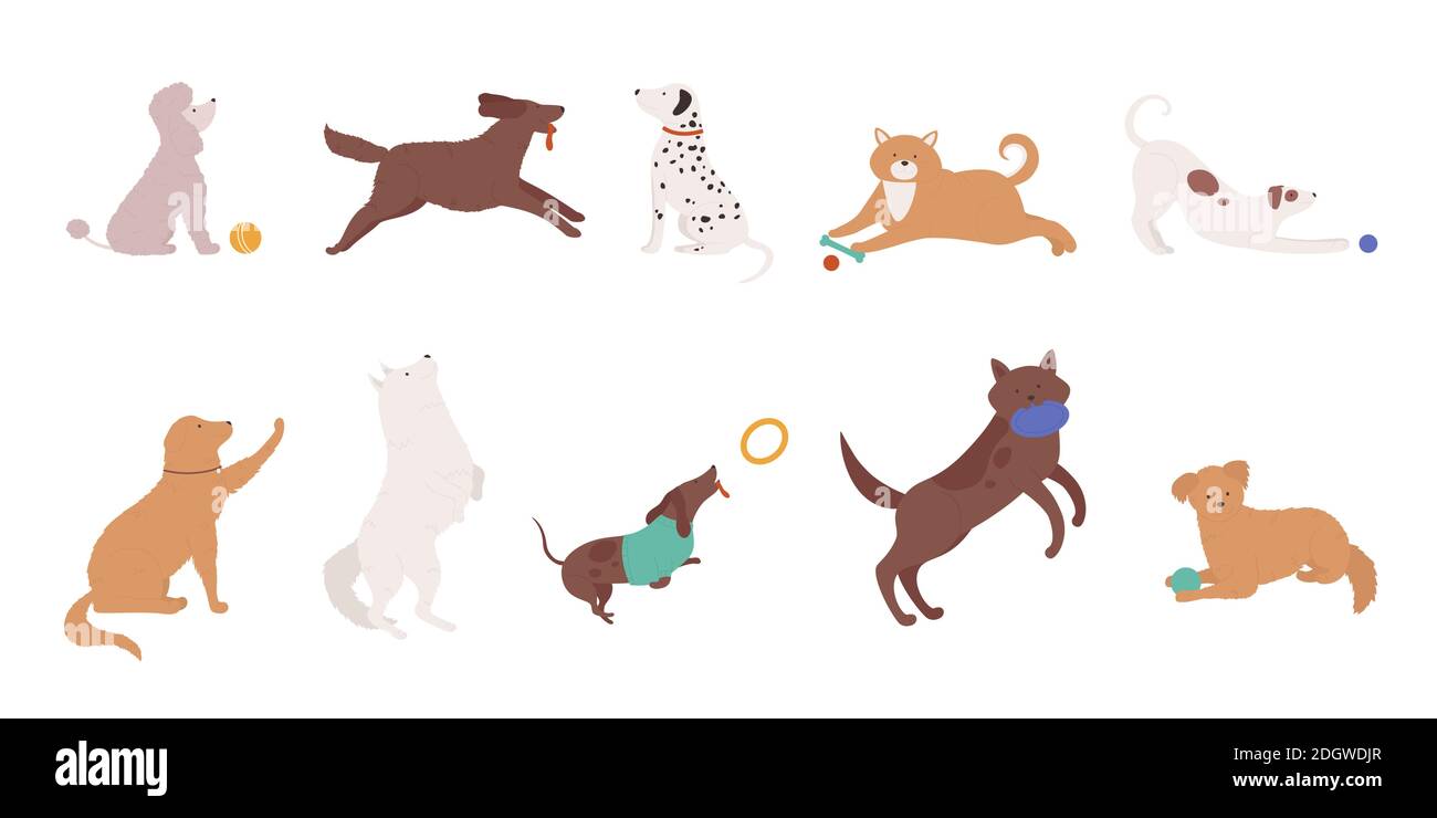 Hunde Haustiere spielen Vektor Illustration Set. Cartoon niedlich verschiedene doggy Charaktere Sammlung von lustigen Hund Tier spielen mit Ball, Ausbildung menschlichen Befehlen, Welpen laufen und springen isoliert auf weiß Stock Vektor