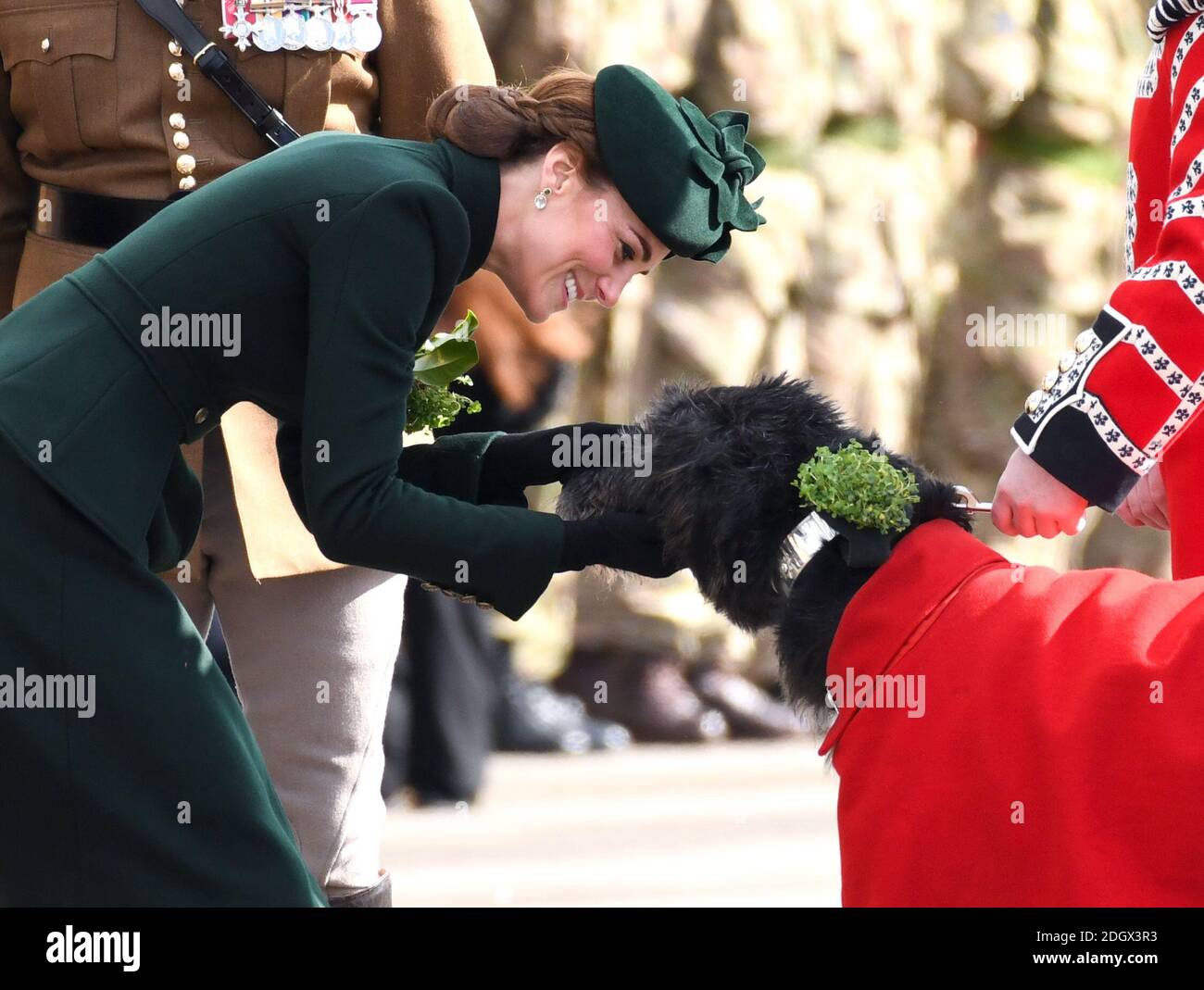 Die Herzogin von Cambridge trifft das Maskottchen der irischen Wachen, einen irischen Wolfhound namens Domhnall, während eines Besuchs des 1. Bataillons der irischen Wachen bei ihrer St. Patrick's Day Parade, Kavallerie Barracks, Hounslow. Bildnachweis sollte lauten: Doug Peters/EMPICS Stockfoto