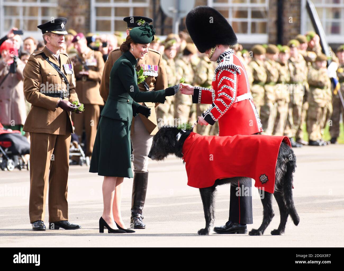 Die Herzogin von Cambridge trifft das Maskottchen der irischen Wachen, einen irischen Wolfhound namens Domhnall, während eines Besuchs des 1. Bataillons der irischen Wachen bei ihrer St. Patrick's Day Parade, Kavallerie Barracks, Hounslow. Bildnachweis sollte lauten: Doug Peters/EMPICS Stockfoto