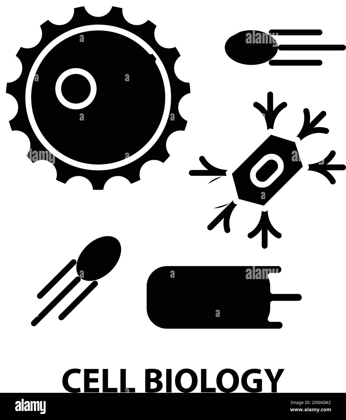 Symbol für Zellbiologie, schwarzes Vektorzeichen mit editierbaren Konturen, Konzeptdarstellung Stock Vektor