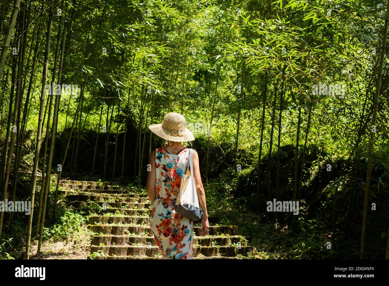 Frau beim Wandern im Wald bei Xitou Stockfoto