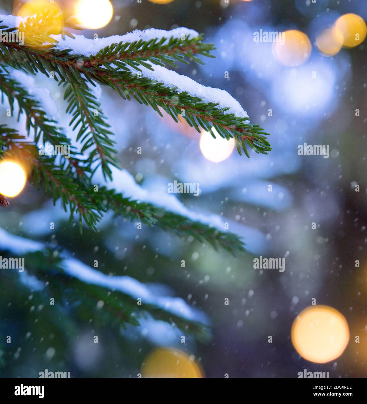 Ein abstraktes Weihnachtsbanner oder Grußkarte Hintergrund mit Weihnachtsbaum Licht; Stockfoto