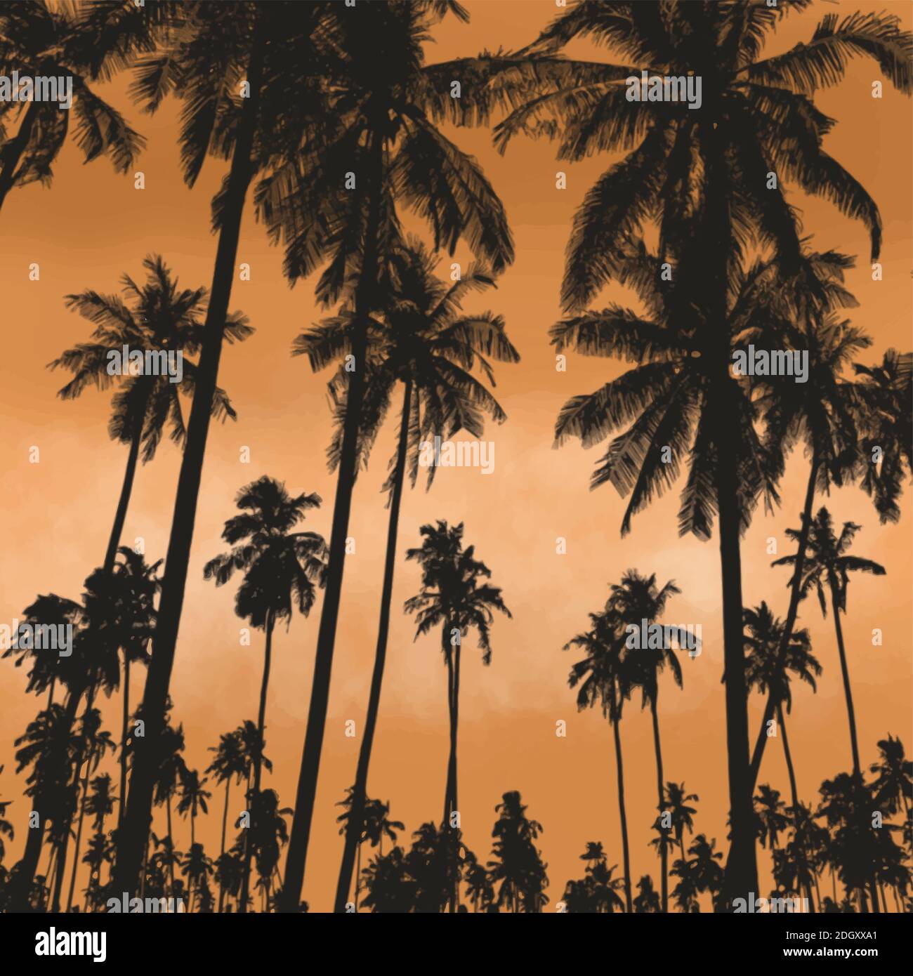 Heiße Sommernächte Hintergrund. Inspirationen Logo Design Vorlage. Stock Vektor