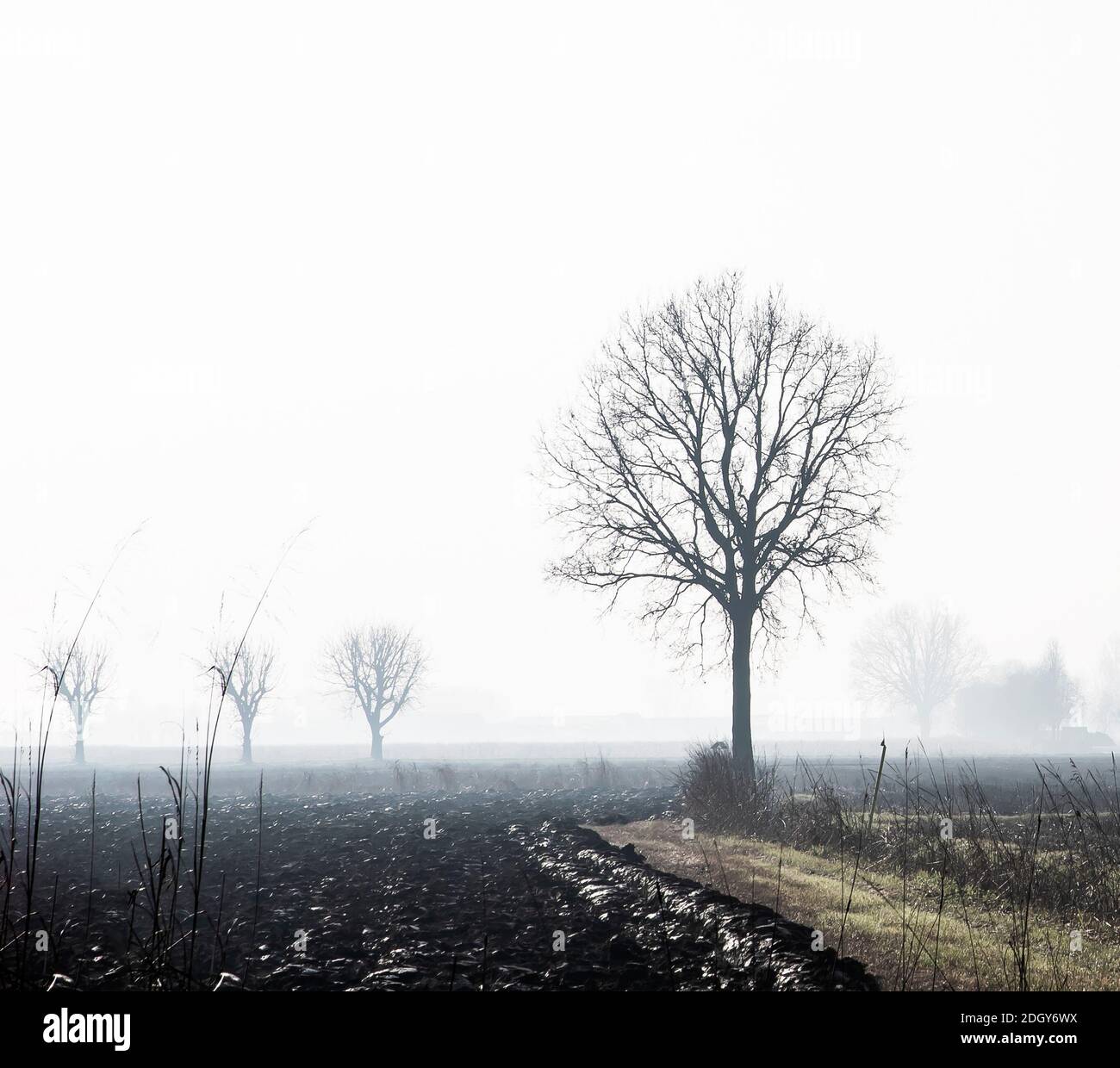 Winterlandschaft in der Po-Ebene Stockfoto