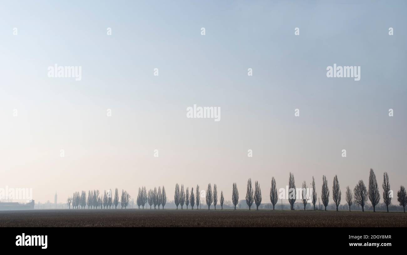 Winterlandschaft in der Po-Ebene Stockfoto