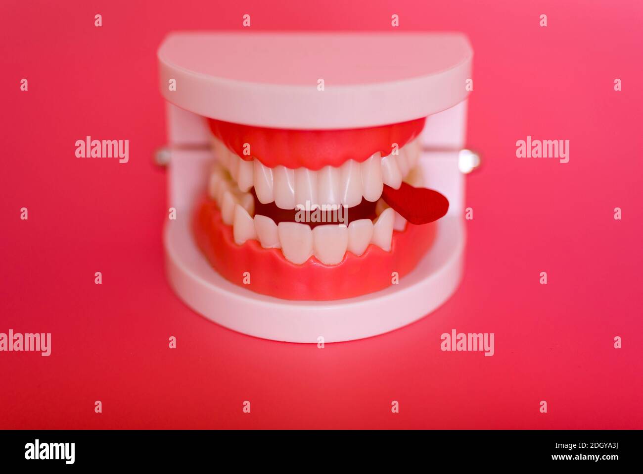 Die Kunst, Leser zu begeistern: Wie gute Texte wirken