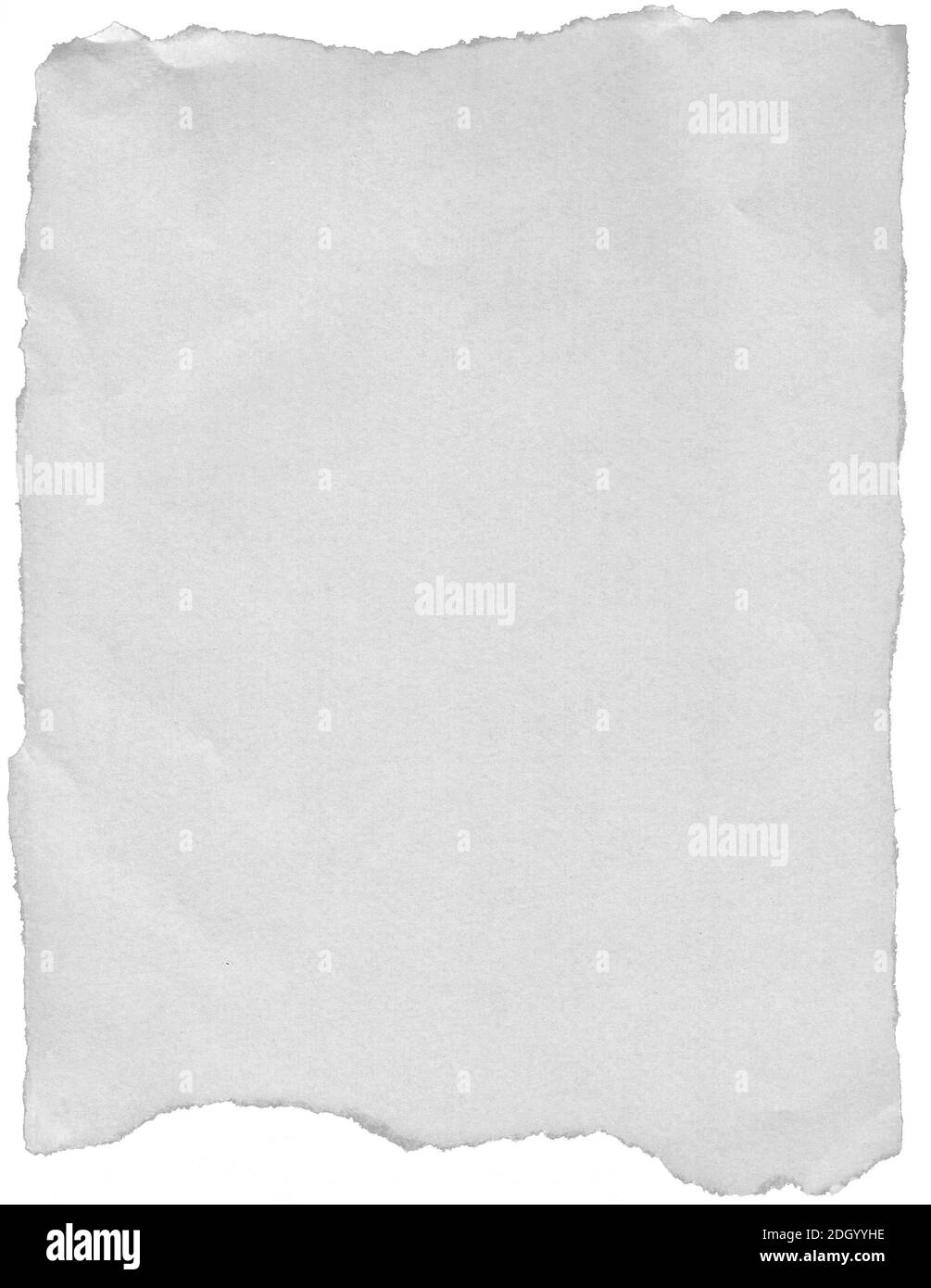 Vintage-Blatt Papier auf weißem Hintergrund Stockfoto