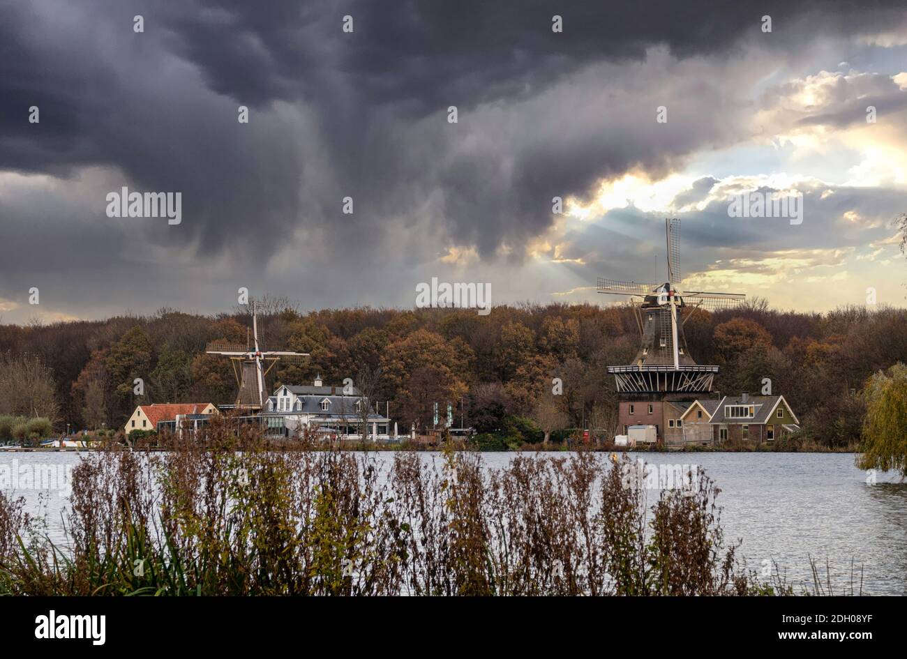 Ein Teich in rotterdam Park mit zwei niederländischen Windmühlen Hintergrund Stockfoto