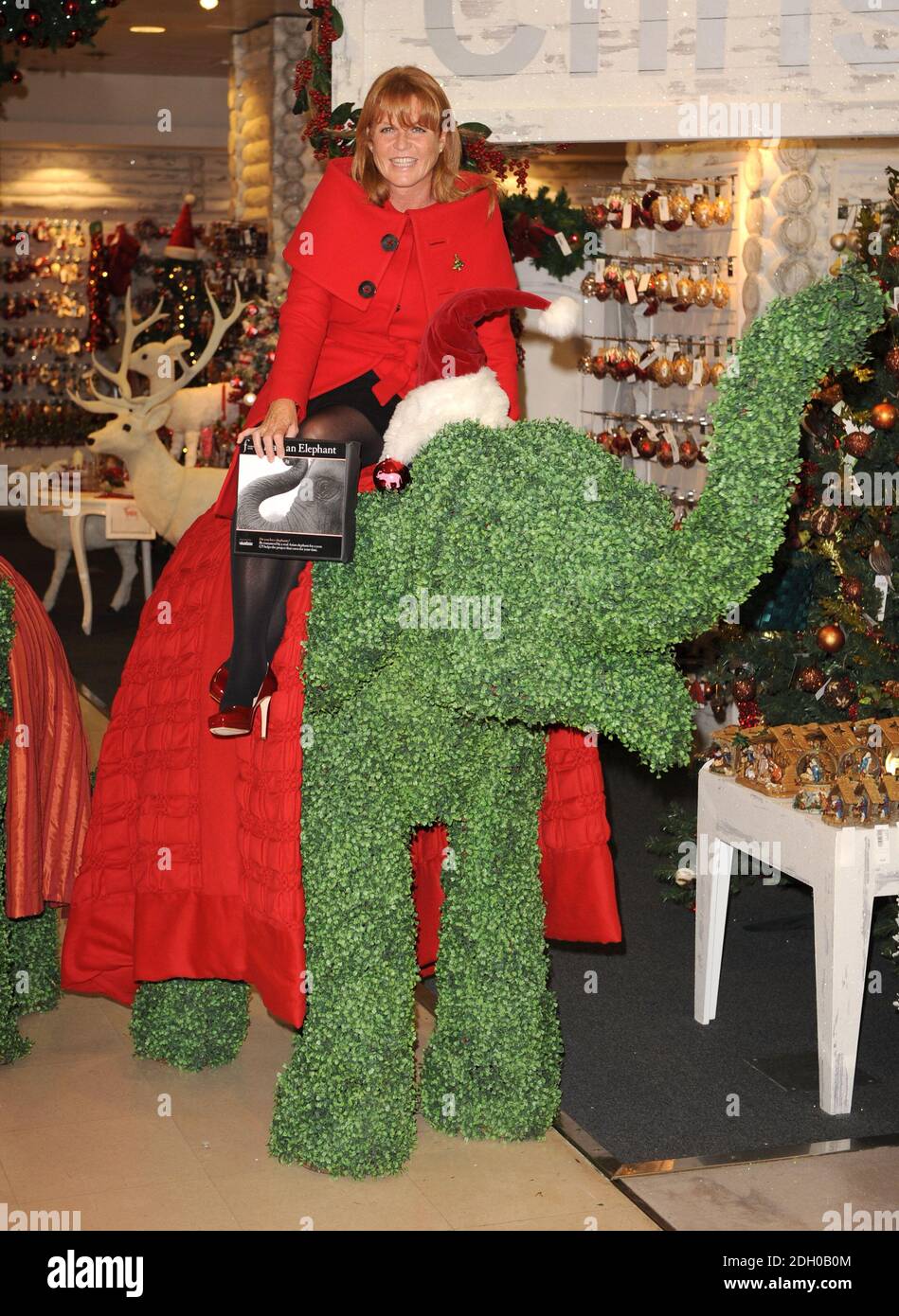 Die Herzogin von York, die auf einem lebensgroßen topiary Elefanten posiert, um Selfridges' Green Christmas Shop und das Date an Elephant Charitable Gift zu starten, in Selfridges in der Oxford Street im Zentrum von London. Stockfoto