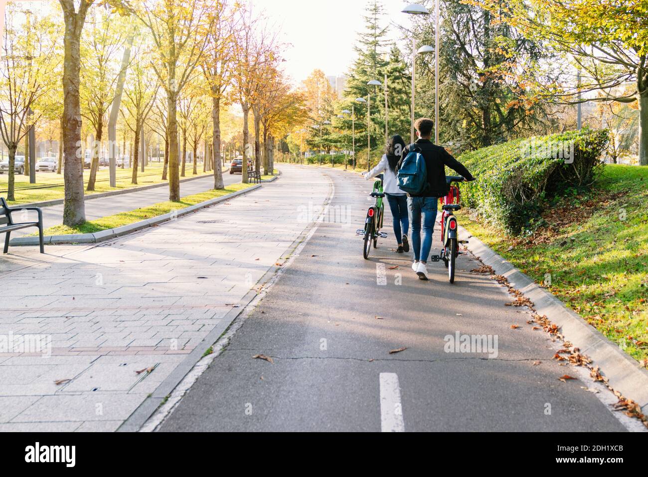 Zwei junge Braut und Bräutigam gehen auf einem Radweg Mit einem gemeinsamen E-Bike in den Händen Ein schöner Park mit vielen Bäumen bei su Stockfoto