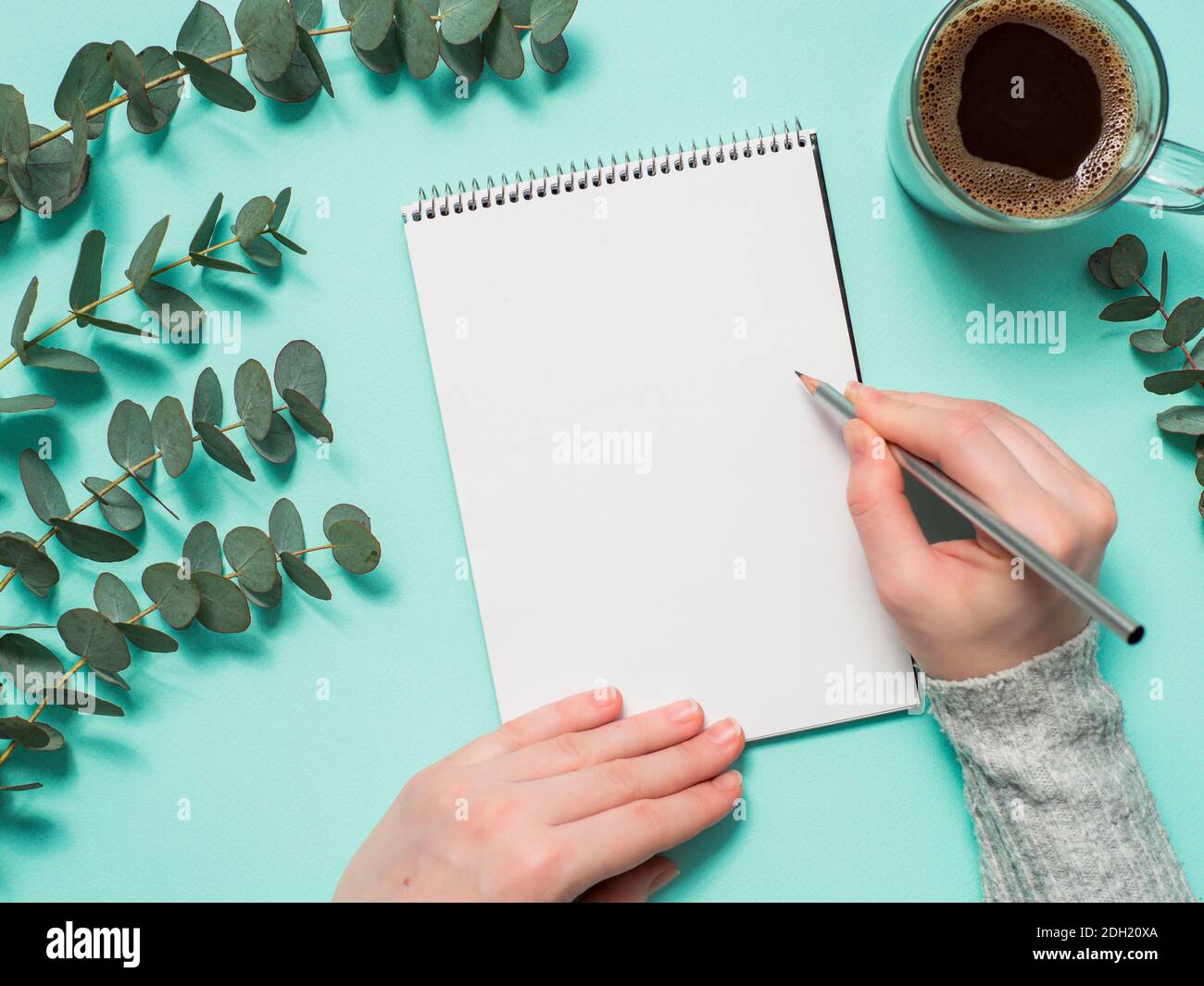 Leeres Papier Notizbuch und weibliche Hände mit Bleistift Stockfoto