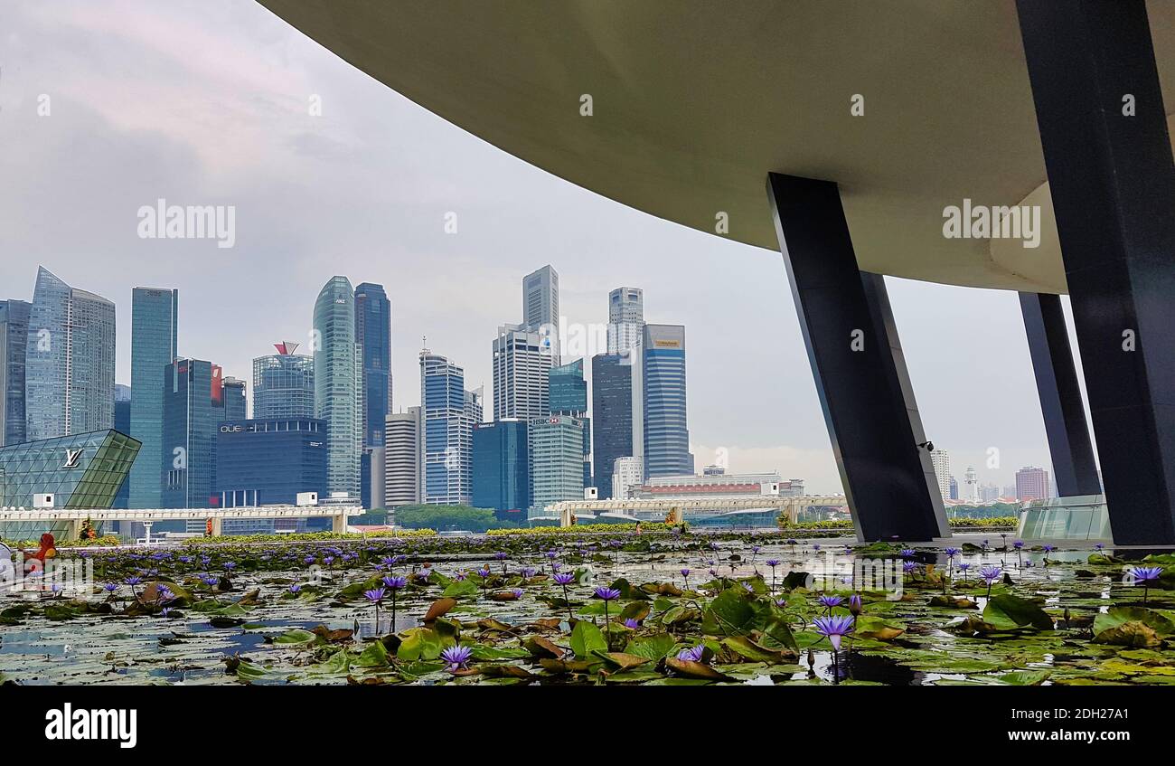 SINGAPUR - 7. Mai 2017: Singapur Finanz- und Geschäftsviertel vom Lotusteich vor dem ArtScience Museum in Marina Bay Sands. Stockfoto