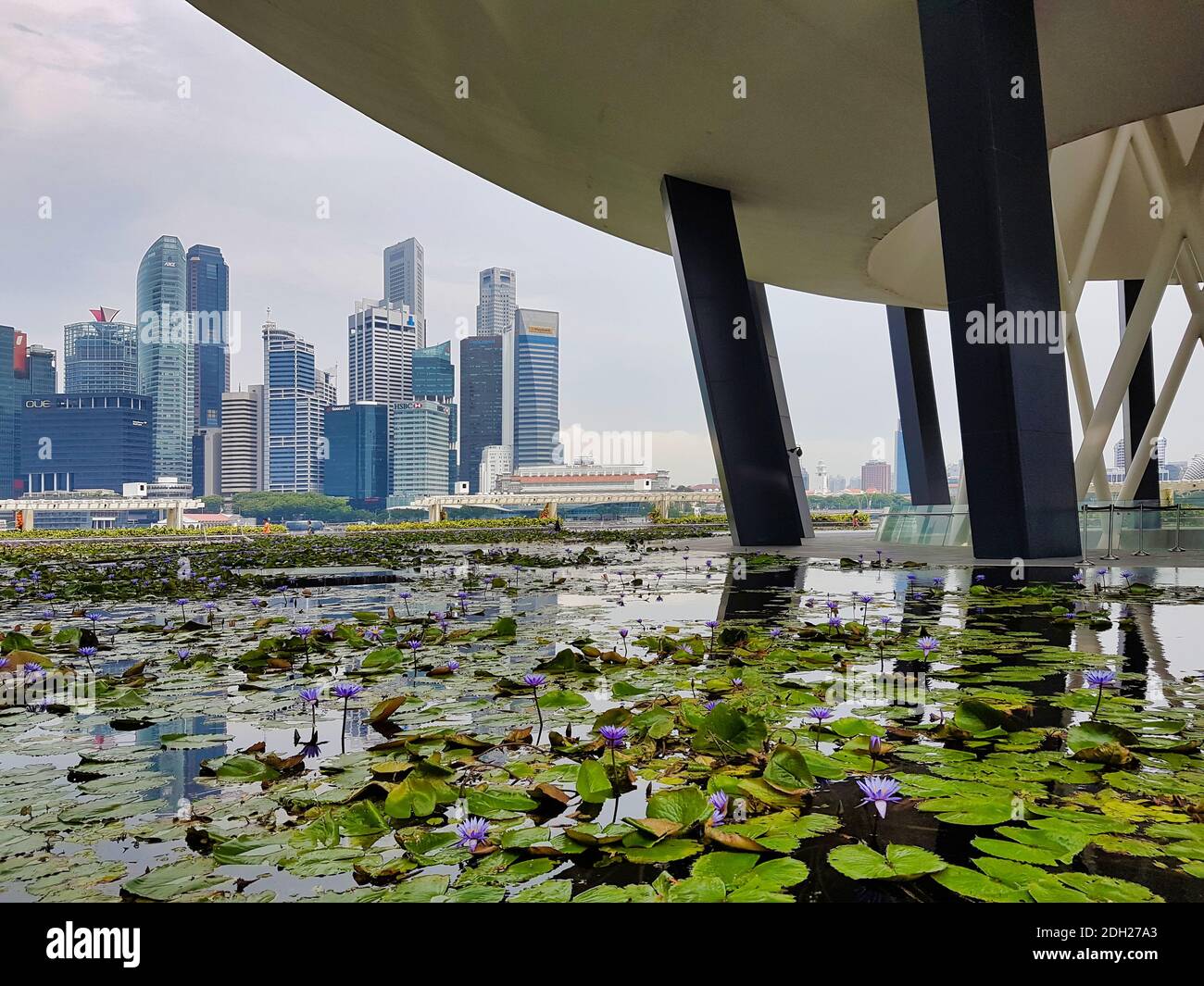 SINGAPUR - 7. Mai 2017: Singapur Finanz- und Geschäftsviertel vom Lotusteich vor dem ArtScience Museum in Marina Bay Sands. Stockfoto