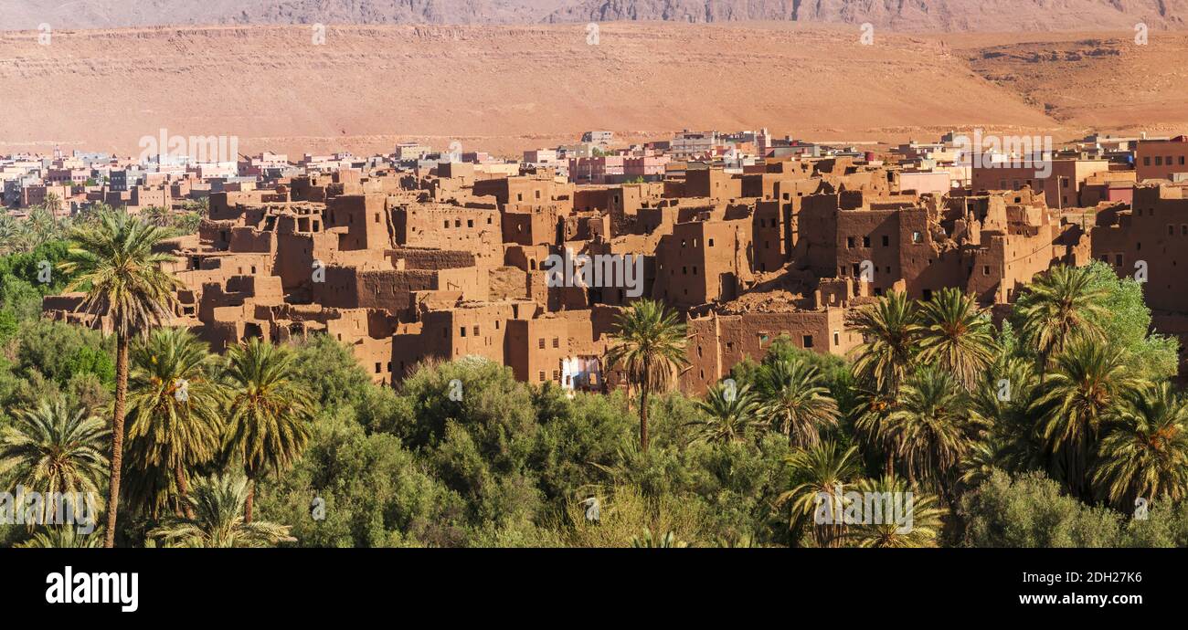 Kasbahs im Dades-Tal im Süden Marokkos, Afrika. Stockfoto