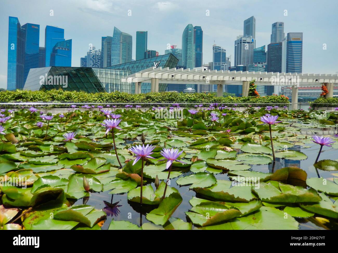 SINGAPUR - 6. Mai 2017: Singapur Finanz- und Geschäftsviertel vom Lotusteich vor dem ArtScience Museum in Marina Bay Sands. Stockfoto
