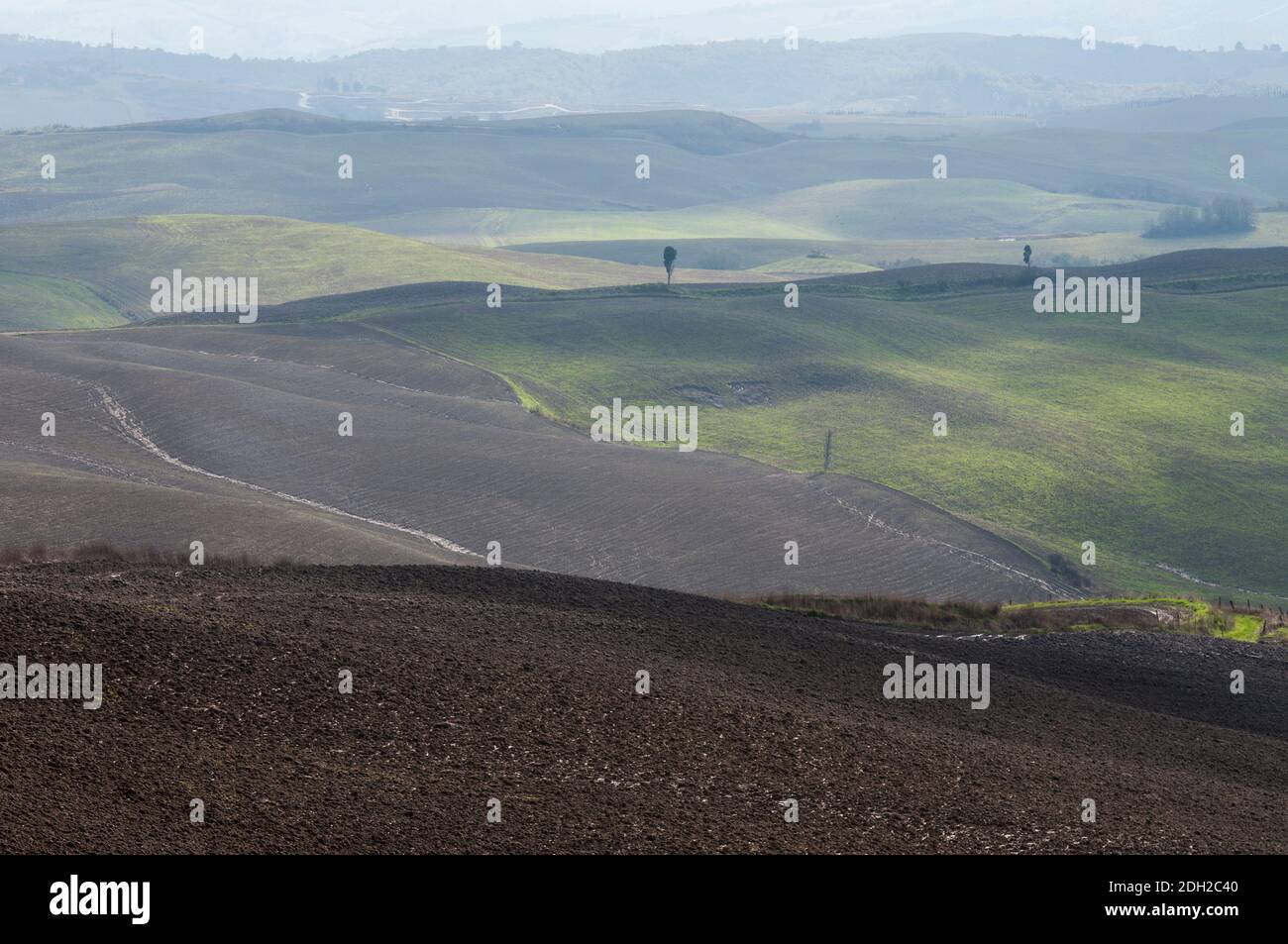 Toskanische Landschaft Stockfoto
