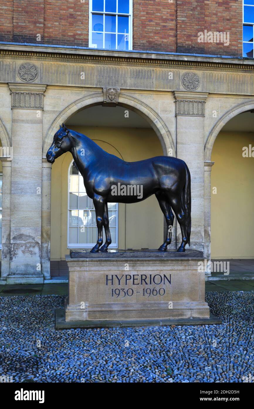 Statue des Rennpferdes Hyperion, des Jockey Club Estate und Horse Racing Museum, Newmarket Stadt, Suffolk, England, Großbritannien Stockfoto