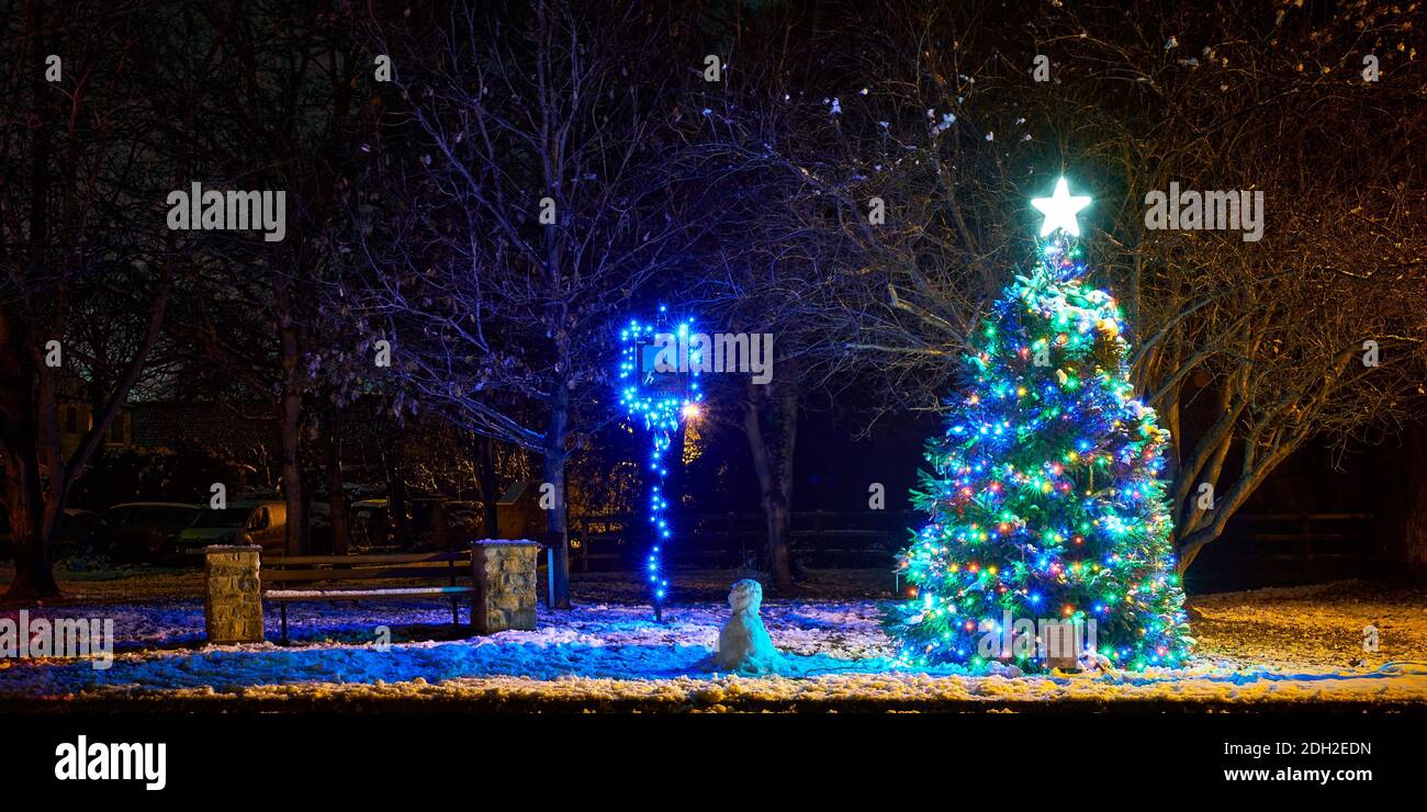Das Village Green Welby Lincolnshire im Winter mit Schnee und einem geschmückten Weihnachtsbaum, Schneemann und Dorfschild beleuchtet in der Nacht Dezember Stockfoto
