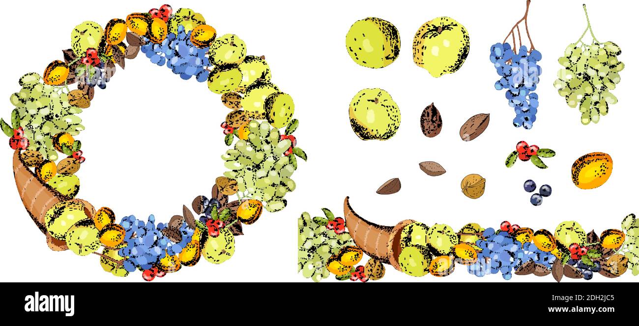Set von Herbstelementen für Danksagung. Runder Rahmen und nahtlose Grenze von Füllhorn mit Trauben, Äpfel, Nüsse, Obst. Isolierte Frucht auf weiß. Stock Vektor