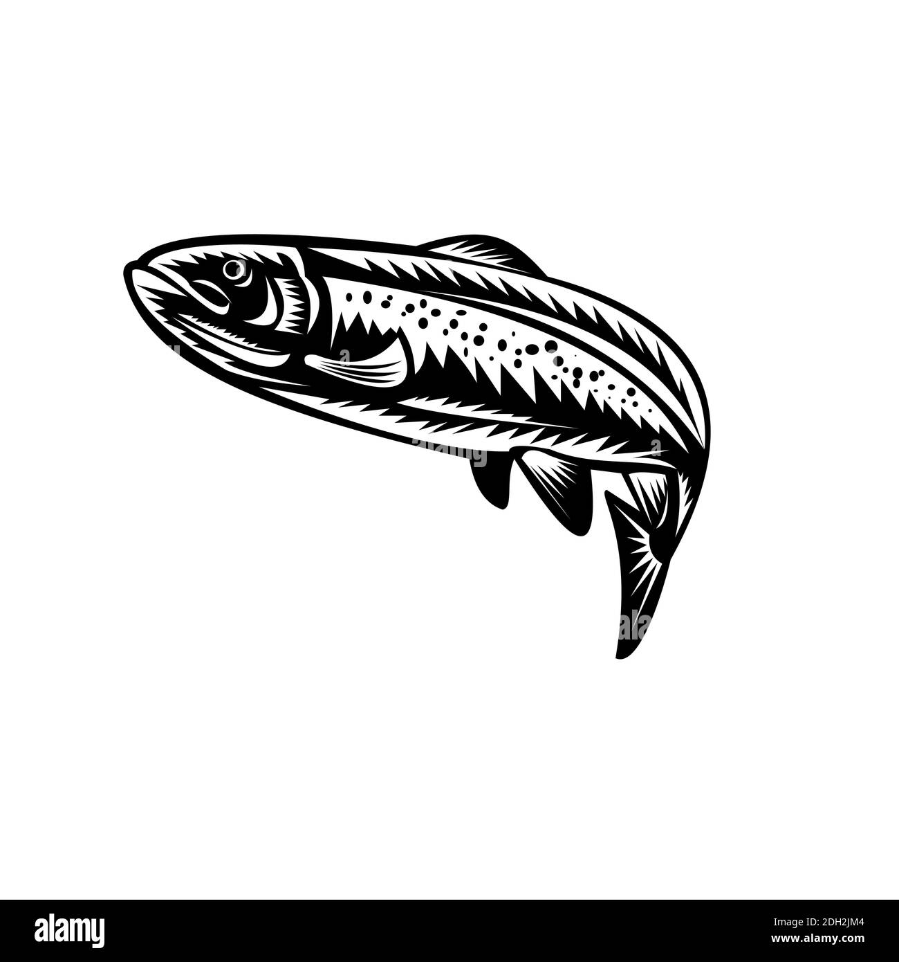 Gefleckte Forelle Fische springen Holzschnitt Retro Schwarz und Weiß Stockfoto