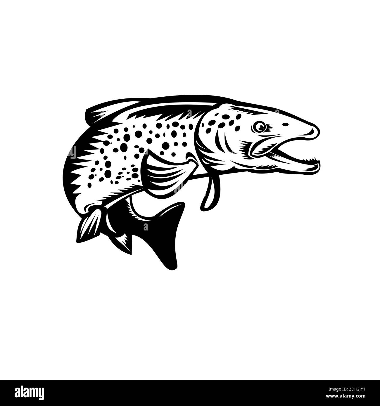 Speckled Forelle Fisch Springen Holzschnitt Retro Schwarz und Weiß Stockfoto
