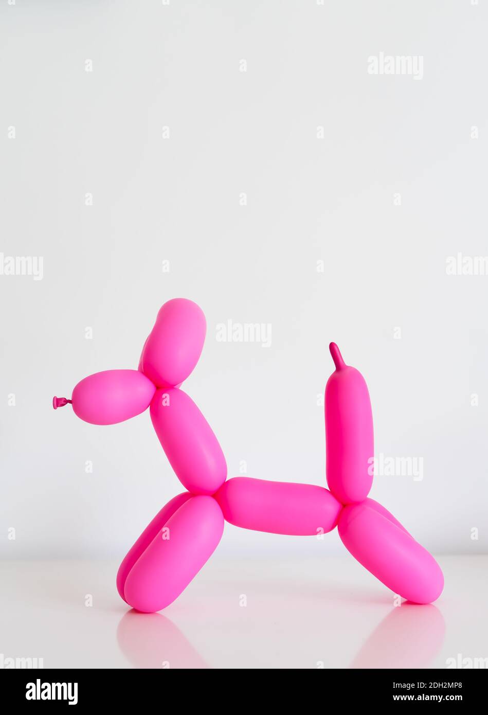 Rosa Ballon Hund auf weißem Hintergrund, minimale Zusammensetzung mit Kopierraum Stockfoto