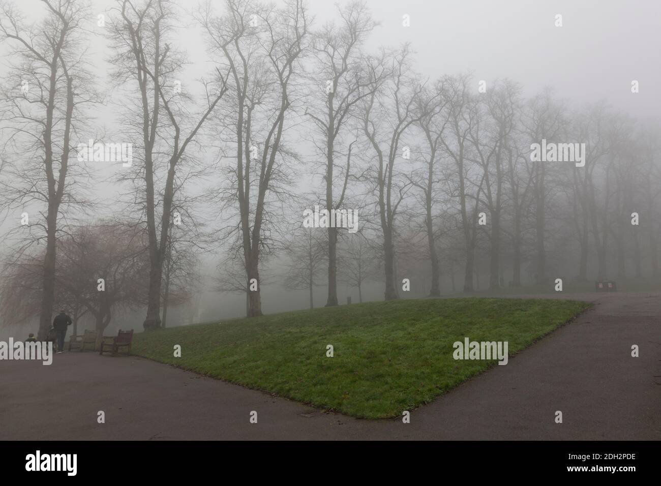 Nebliger Morgen in Waterlow Park, London, Großbritannien Stockfoto