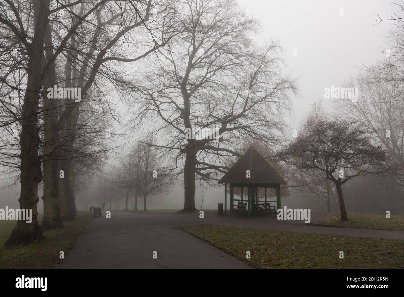 Nebliger Morgen in Waterlow Park, London, Großbritannien Stockfoto