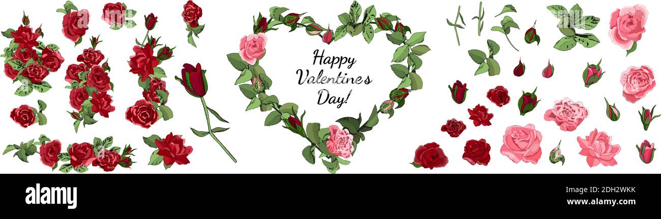 Set von Rosen und Blättern isoliert auf weißem Hintergrund. Ausgezeichnet für Grußkarten und Einladungen zur Hochzeit, Geburtstag, Valentinstag Stock Vektor