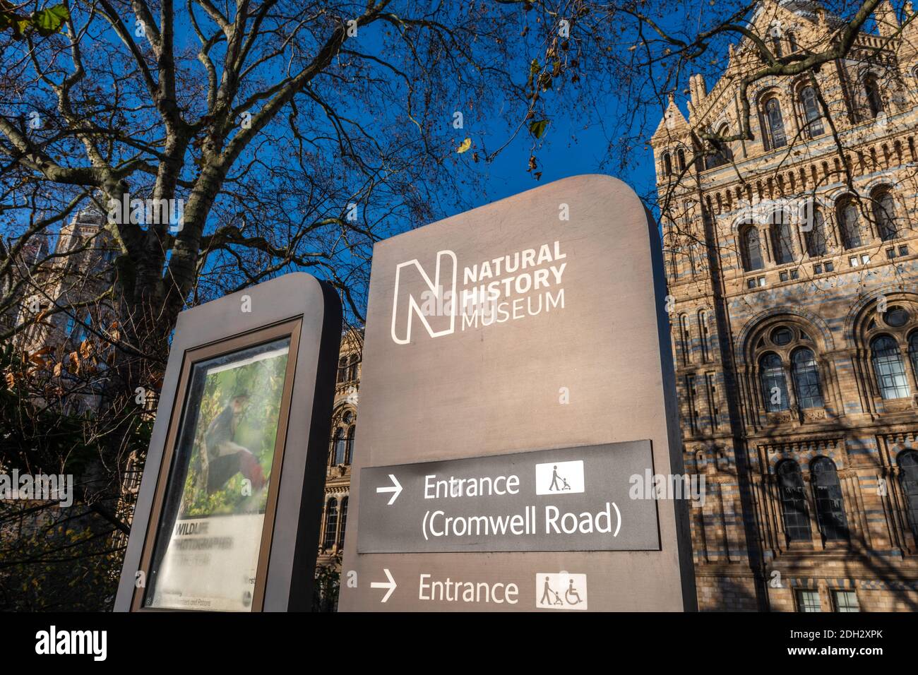 Außenansicht des Natural History Museum auf der Cromwell Road, South Kensington. Stockfoto