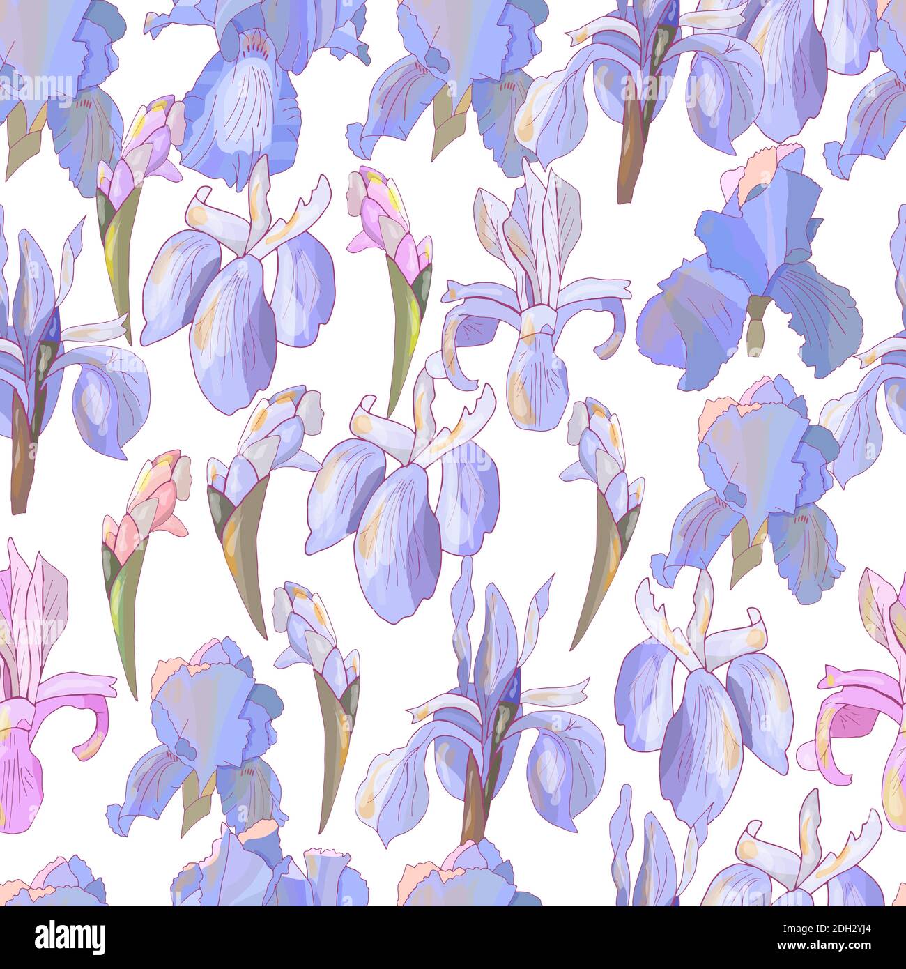 Nahtloses Muster mit Iris.. Vektor handgezeichnete Illustration für Design-Geschenkboxen, Ankündigungen, Postkarten, Poster, Einladungen, Visitenkarte. Stock Vektor