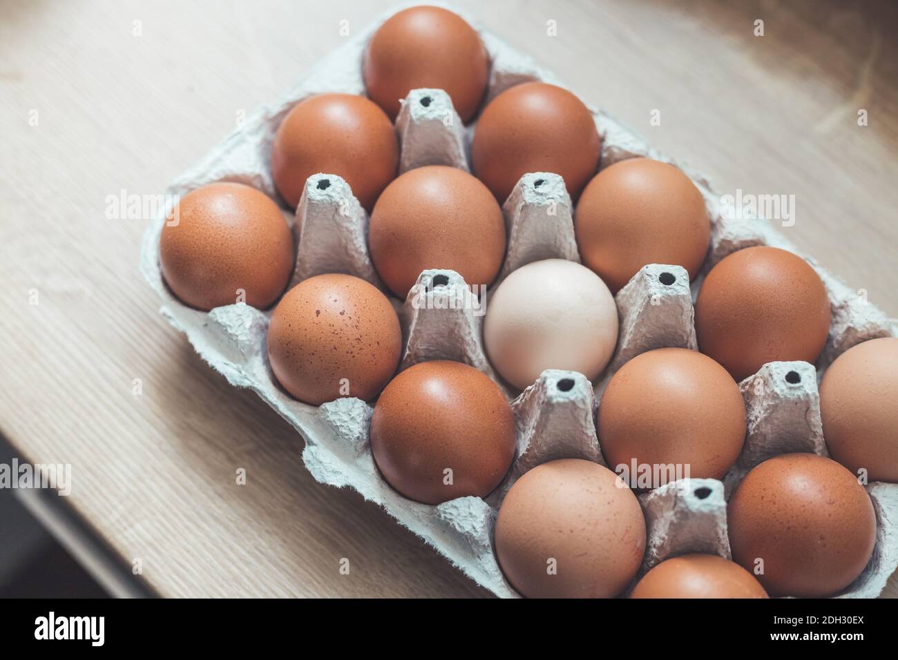 Metapher für anderes oder Außenseiter: Braune Eier und ein weißes Ei in einem Korb Stockfoto