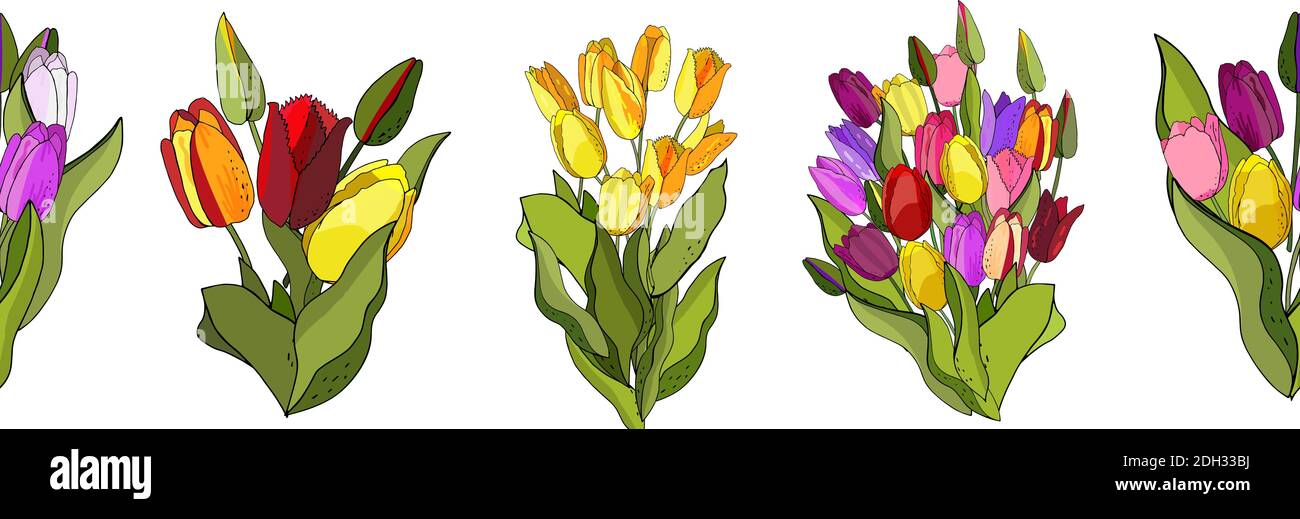 Schöne Wild blühenden Tulpe nahtlose Muster in einem Hand-Zeichnung Stil auf weißem Hintergrund, Wrapper. Vektor Blumen botanische Blume. Federblatt Wildf Stock Vektor