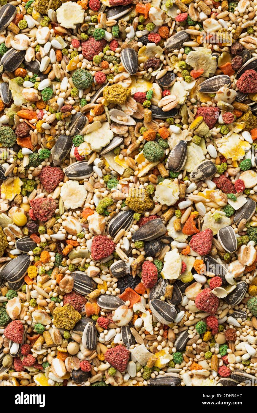Farbenfrohe Mischung aus Samen und getrockneten Früchten auf einer Holzoberfläche in natürlichem Licht zur Vogelfütterung Stockfoto