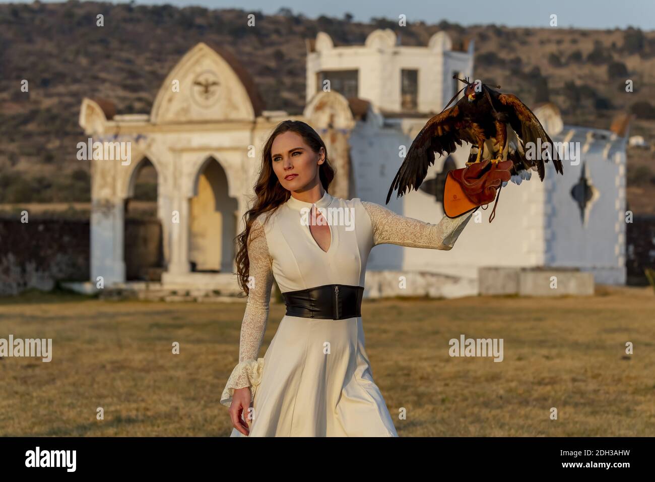Eine schöne hispanische Brünette Modell posiert im Freien mit EINEM Falcon In EINER Hacienda Stockfoto