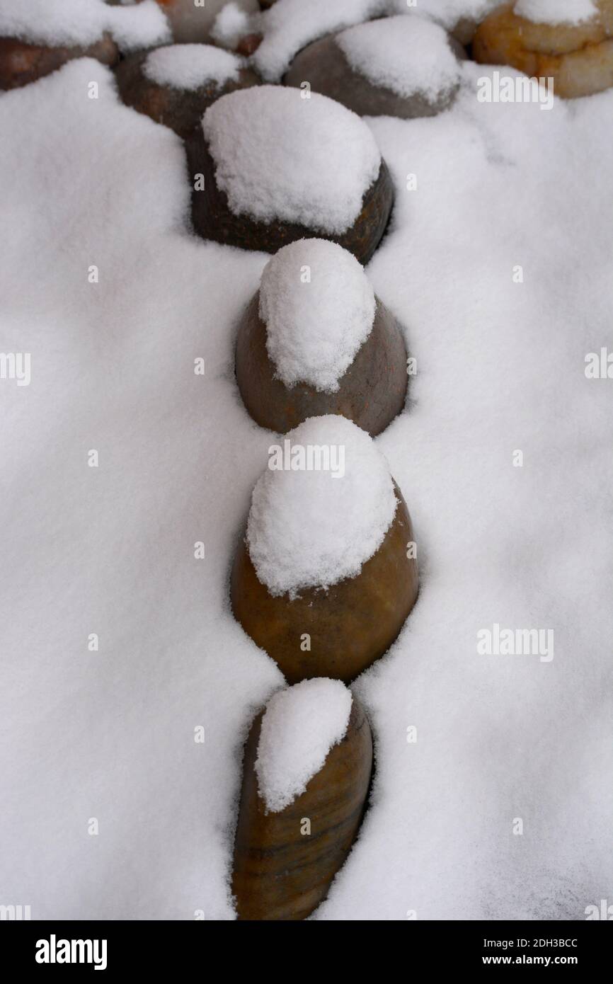 Eine leichte Schneedecke bedeckt eine Reihe runder Flussfelsen. Stockfoto