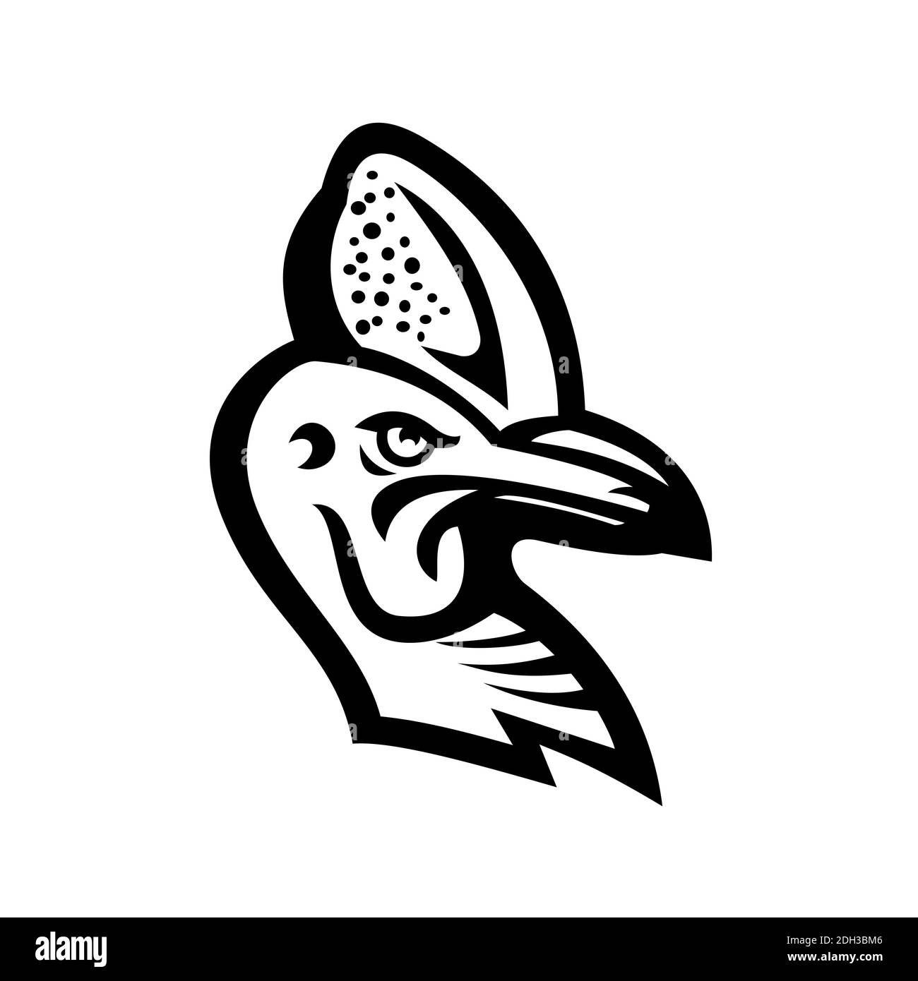 Kopf eines Kassowary Maskottchen Schwarz und Weiß Stockfoto