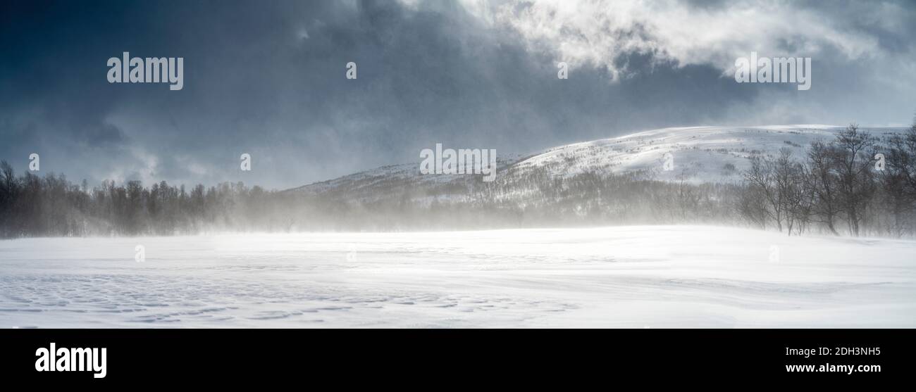 Panoramablick auf die Schneeverwehung in Schwedisch Lappland. Sonniger Tag, Hochgebirge mit wildem arktischen Birkenwald auf der unteren Ebene. Hohe Geschwindigkeit Stockfoto