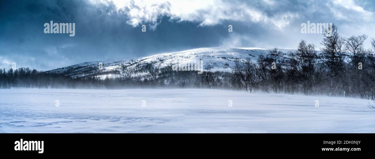 Panoramablick auf die Schneeverwehung in Schwedisch Lappland. Sonniger Tag, Hochgebirge mit wildem arktischen Birkenwald auf der unteren Ebene. Hohe Geschwindigkeit Stockfoto