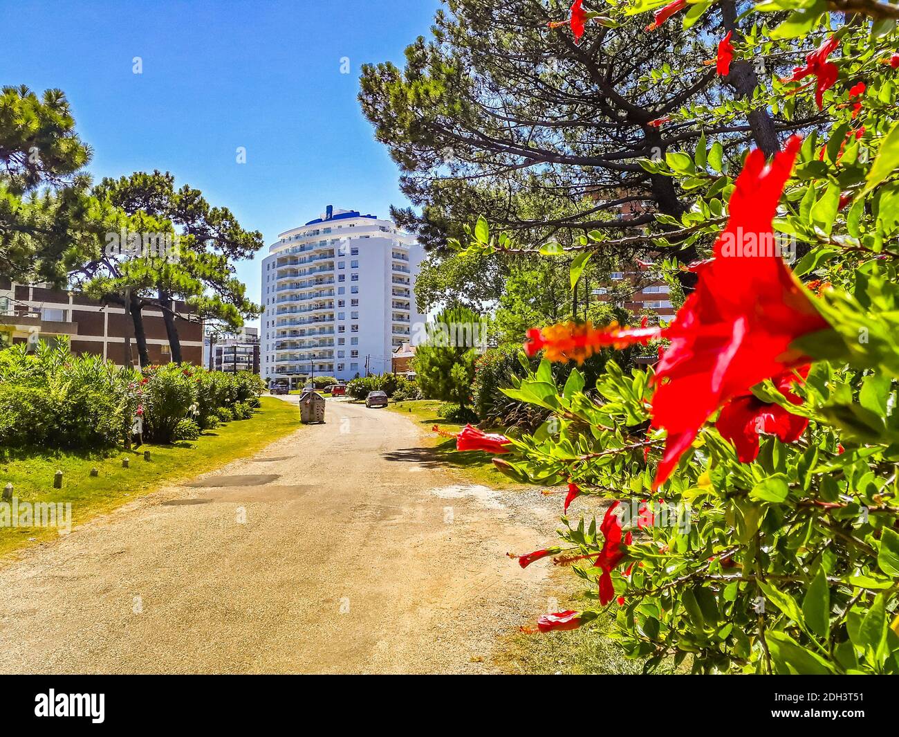 Leere Straße, Punta del Este, Uruguay Stockfoto